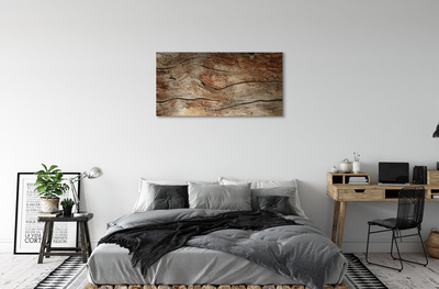Obrazy na plátně Dřeva board