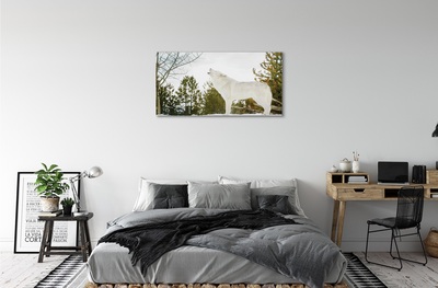 Obrazy na plátně Vlk v zimě lese