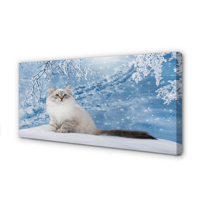 Obrazy na plátně kočka zima