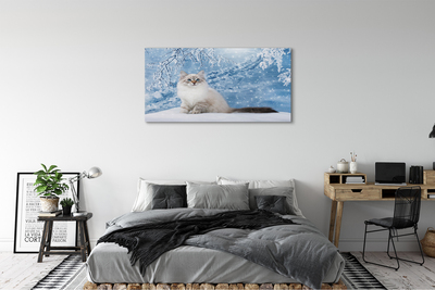 Obrazy na plátně kočka zima