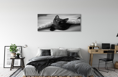 Obrazy na plátně Kočka pod přikrývkou