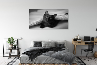 Obrazy na plátně Kočka pod přikrývkou