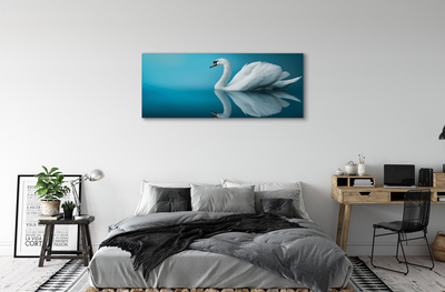 Obrazy na plátně Swan ve vodě