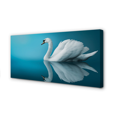 Obrazy na plátně Swan ve vodě
