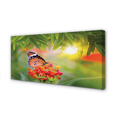 Obrazy na plátně Barevný motýl květiny
