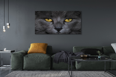 Obrazy na plátně Černá kočka