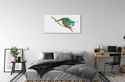 Obrazy na plátně Barevné malované papoušek