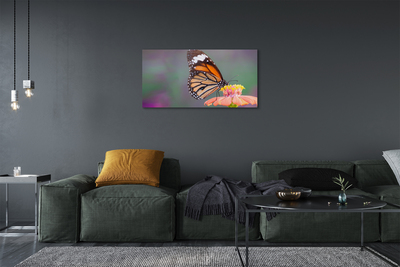 Obrazy na plátně Barevný motýl květina