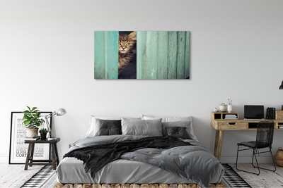 Obrazy na plátně Zaglądający cat