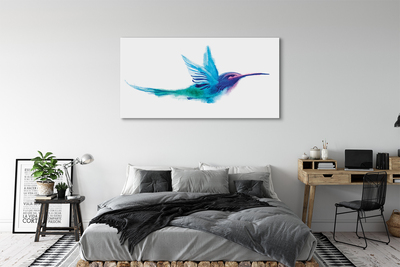 Obrazy na plátně malované papoušek