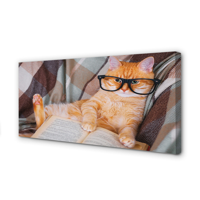 Obrazy na plátně Čtenář cat