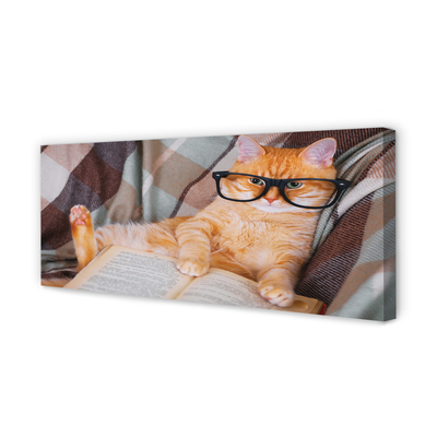 Obrazy na plátně Čtenář cat