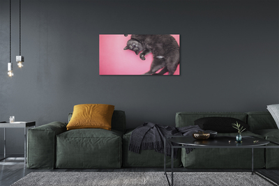 Obrazy na plátně ležící kočka