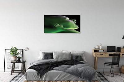 Obrazy na plátně V čele muž zelenou