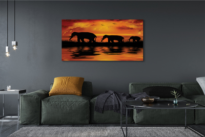 Obrazy na plátně sloni West Lake