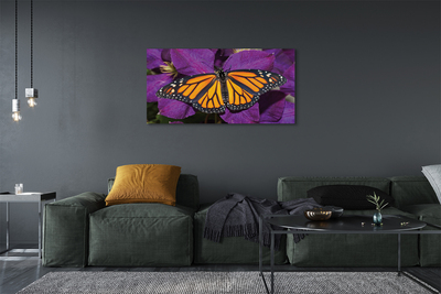 Obrazy na plátně Barevný motýl květiny