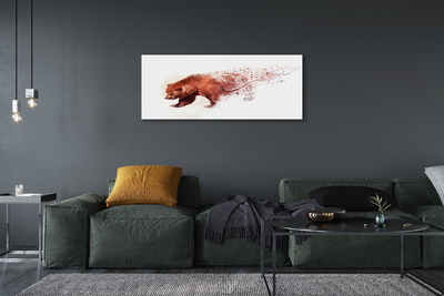 Obrazy na plátně Medvěd