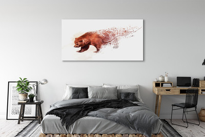 Obrazy na plátně Medvěd