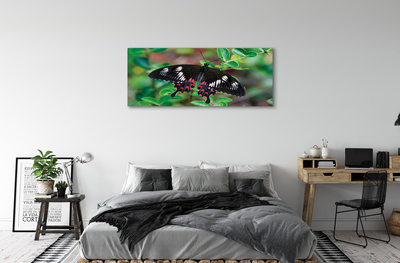 Obrazy na plátně List barevný motýl