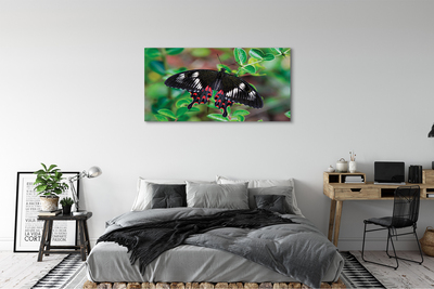 Obrazy na plátně List barevný motýl