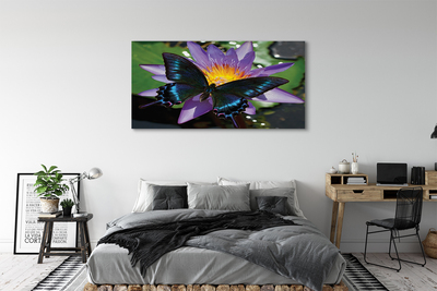 Obrazy na plátně motýl květina
