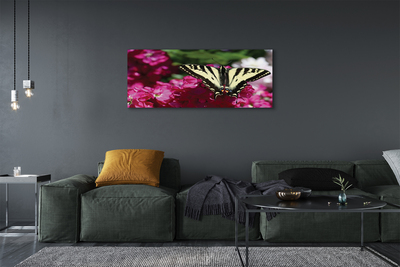 Obrazy na plátně květiny motýl