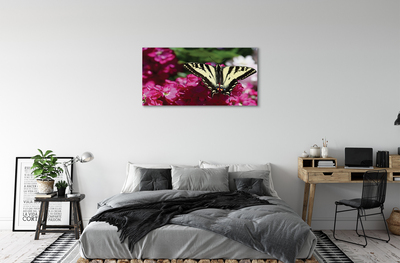 Obrazy na plátně květiny motýl