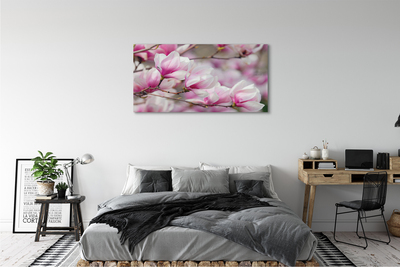 Obrazy na plátně květy
