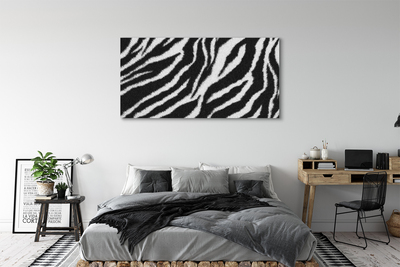Obrazy na plátně zebra fur