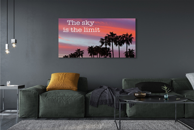 Obrazy na plátně Palm západu slunce