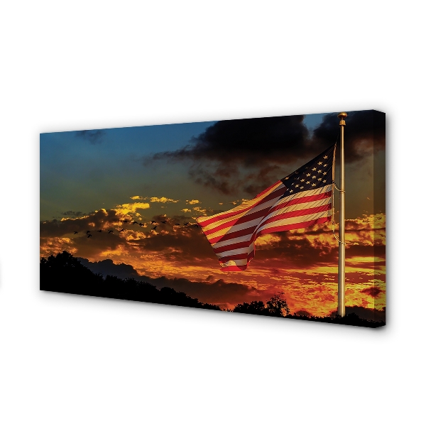 Obrazy na plátně Vlajka USA