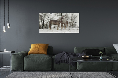 Obrazy na plátně Zimní lesní jednorožci