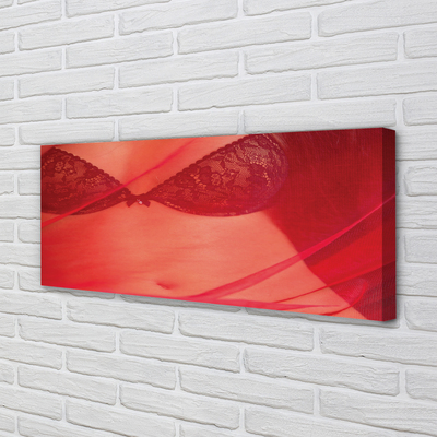 Obrazy na plátně Žena v červeném tylu