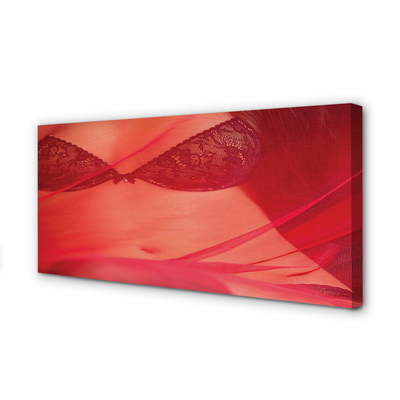 Obrazy na plátně Žena v červeném tylu