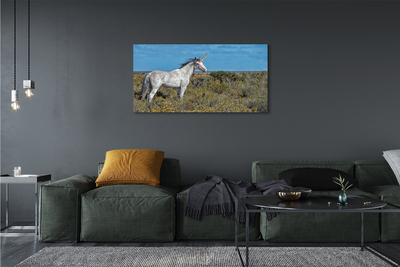 Obrazy na plátně Unicorn Golf