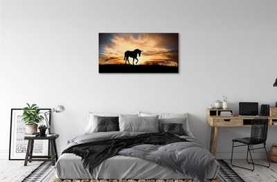 Obrazy na plátně Unicorn sunset