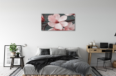 Obrazy na plátně růžové květy