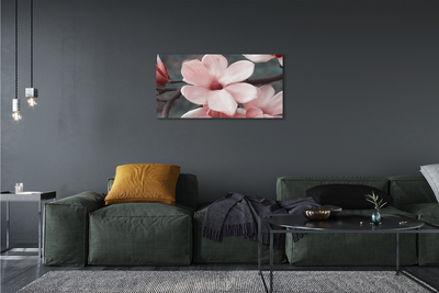 Obrazy na plátně růžové květy