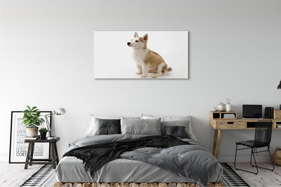 Obrazy na plátně Sedící malého psa