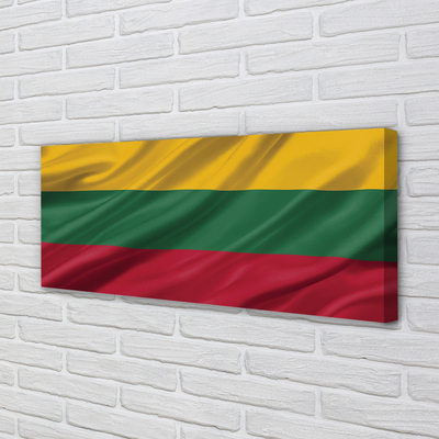 Obrazy na plátně vlajka Litvy