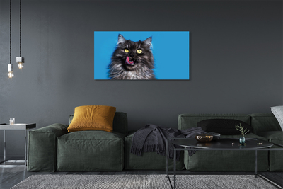 Obrazy na plátně Oblizujący kočka