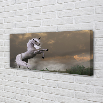 Obrazy na plátně Unicorn top