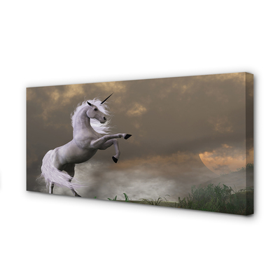 Obrazy na plátně Unicorn top