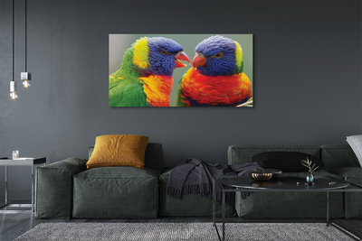 Obrazy na plátně barevný papoušek