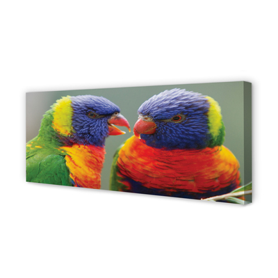 Obrazy na plátně barevný papoušek