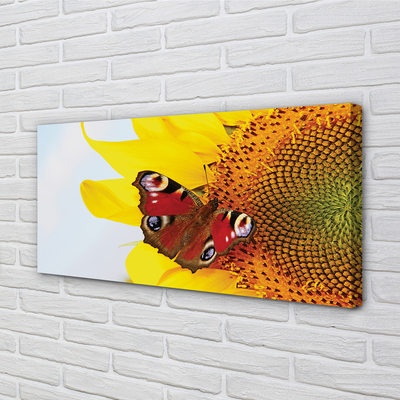 Obrazy na plátně slunečnice motýl