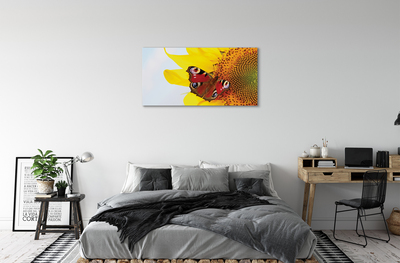 Obrazy na plátně slunečnice motýl