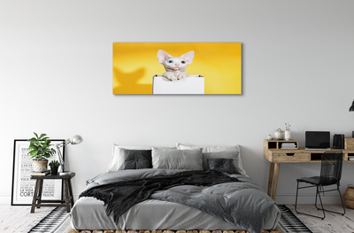 Obrazy na plátně sedící kočka