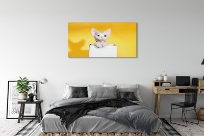 Obrazy na plátně sedící kočka