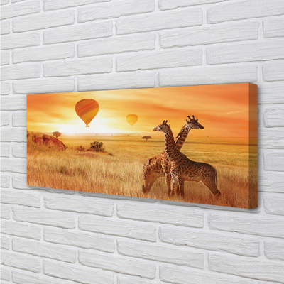 Obrazy na plátně Balóny nebe žirafa